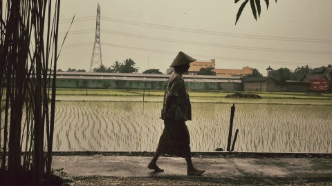Desa Sewon, Bantul, Yogyakarta, 1 Januari 2014. Petani siap bekerja. (Courtesy of Nauval Yazid.)