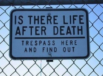 12561-Life-after-death