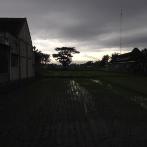 Di desa Bantul, hari terakhir 2014. (Photo by Nauval Yazid)