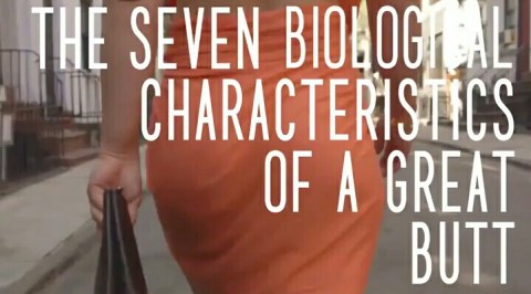 Screenshot_2015-08-11-01-56-08-1