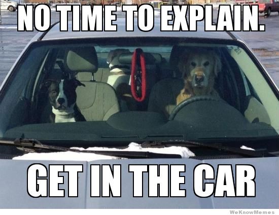 driving-dogs-no-time-to-explain