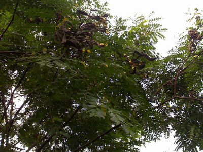 5347721991_43c69f080a