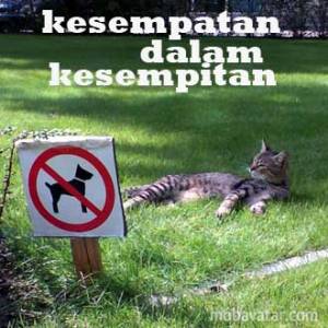 kesempatan-dalam-kesempitan