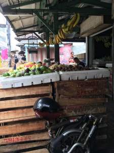 (Photo courtesy of Roy Sayur)