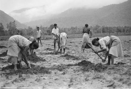 (Courtesy of ruralindiaonline.org)