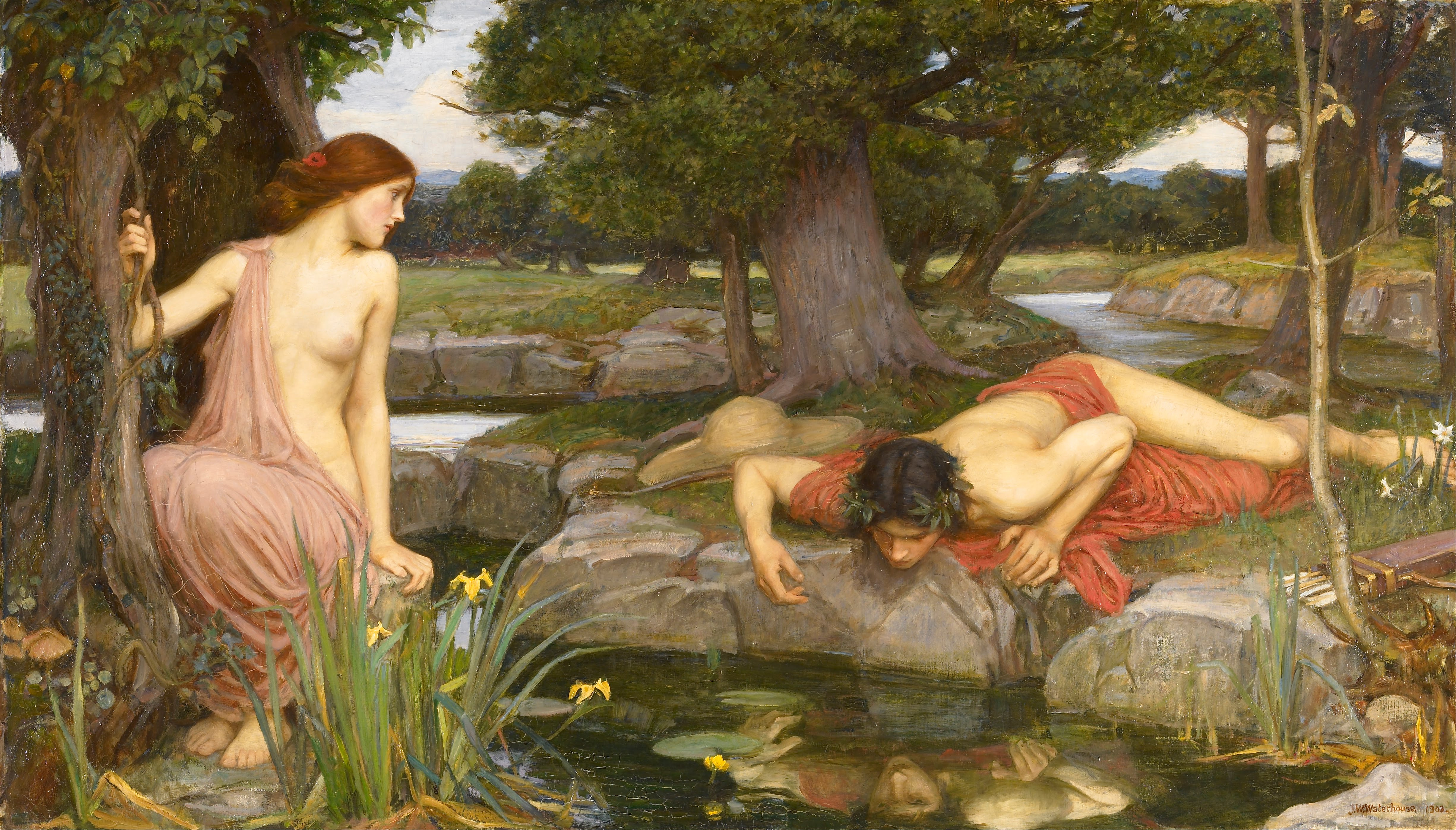narcissus