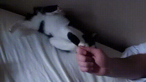 Good bye, cruel world. - Imgur