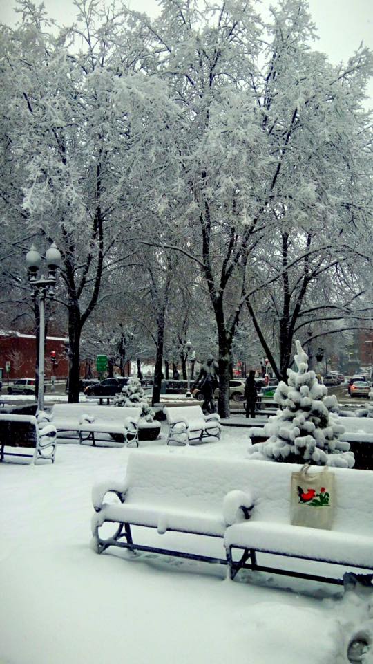 12670103_10153318006640671_7656504226041709588_n