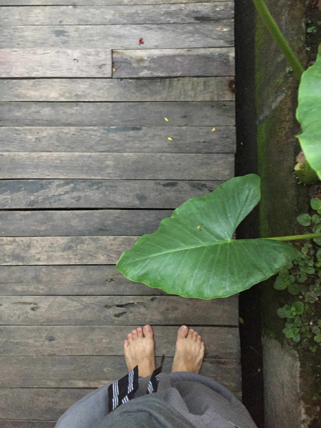 Ketika Awet Tak Lagi&nbsp;Relevan