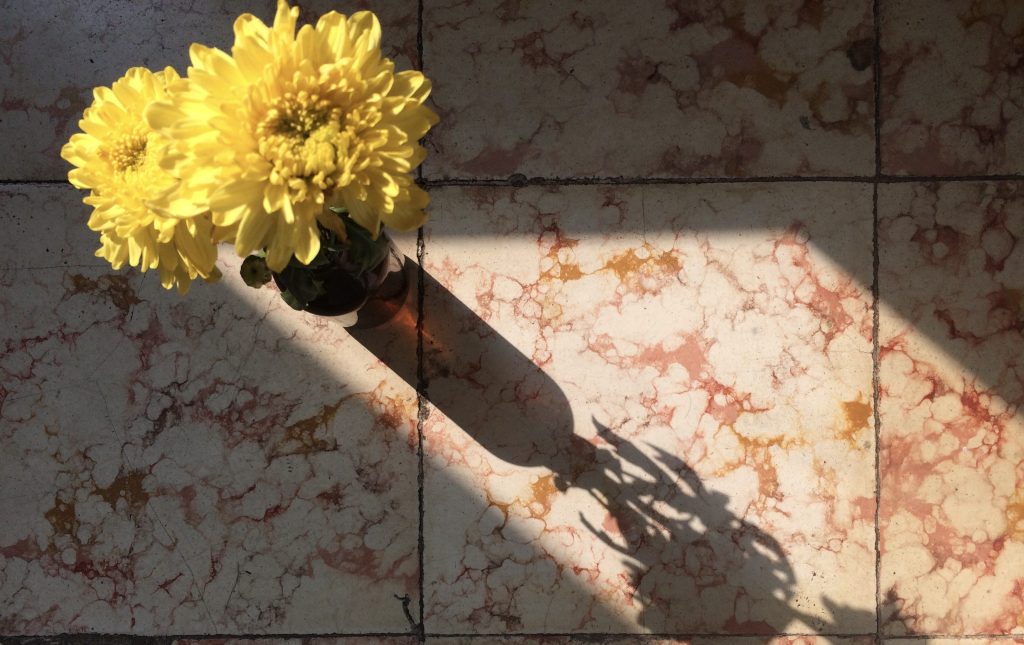 Para Filsuf Bernyanyi: “Diobok-obok”