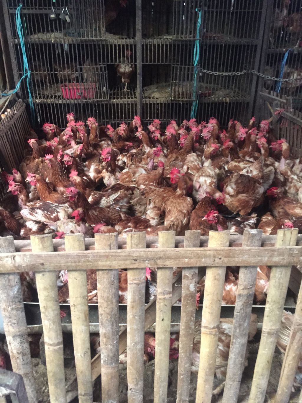 Ke Pasar, Di&nbsp;Pasar