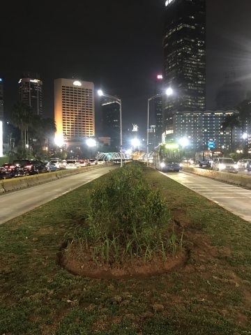 Pedestrian lawn area Jakarta
