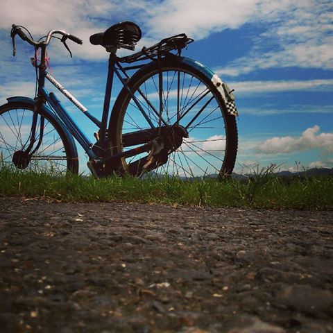 12479558_137376739979440_1622564778_n