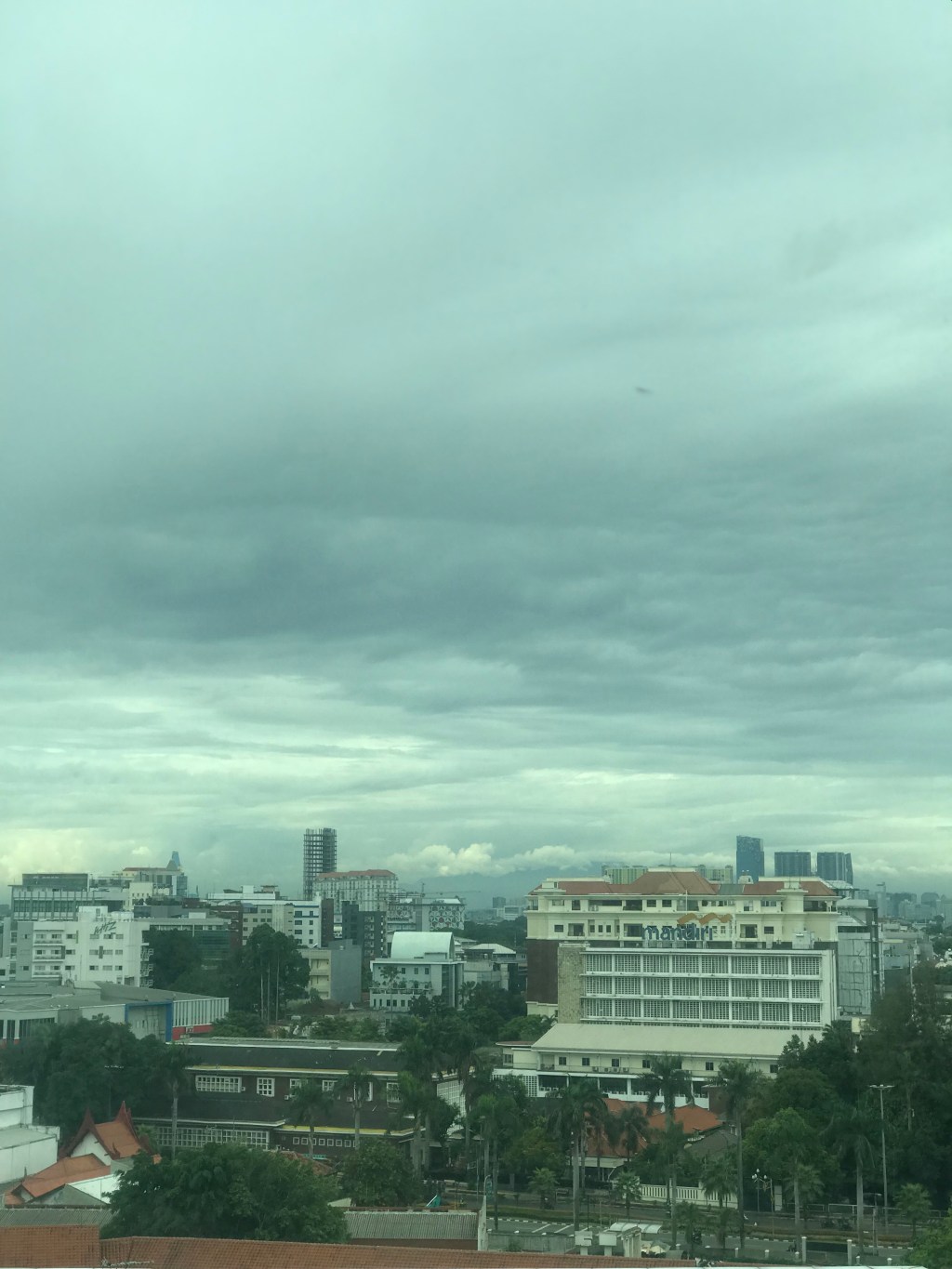 We See Before We&nbsp;Feel