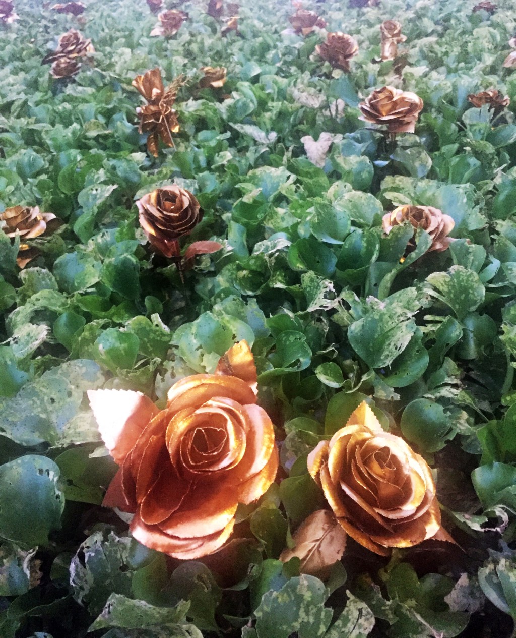 Ya Tuhan, Jauhkanlah Aku dari Halu | Harapan&nbsp;2018