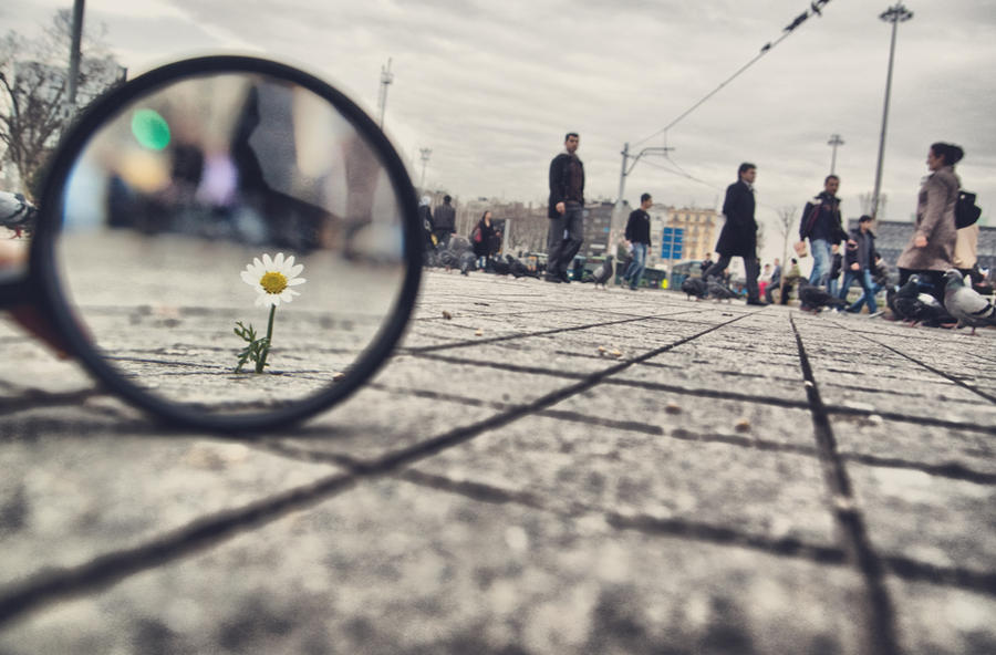 Kecil-Kecil Bisa Bikin Hidup Jadi&nbsp;Hidup